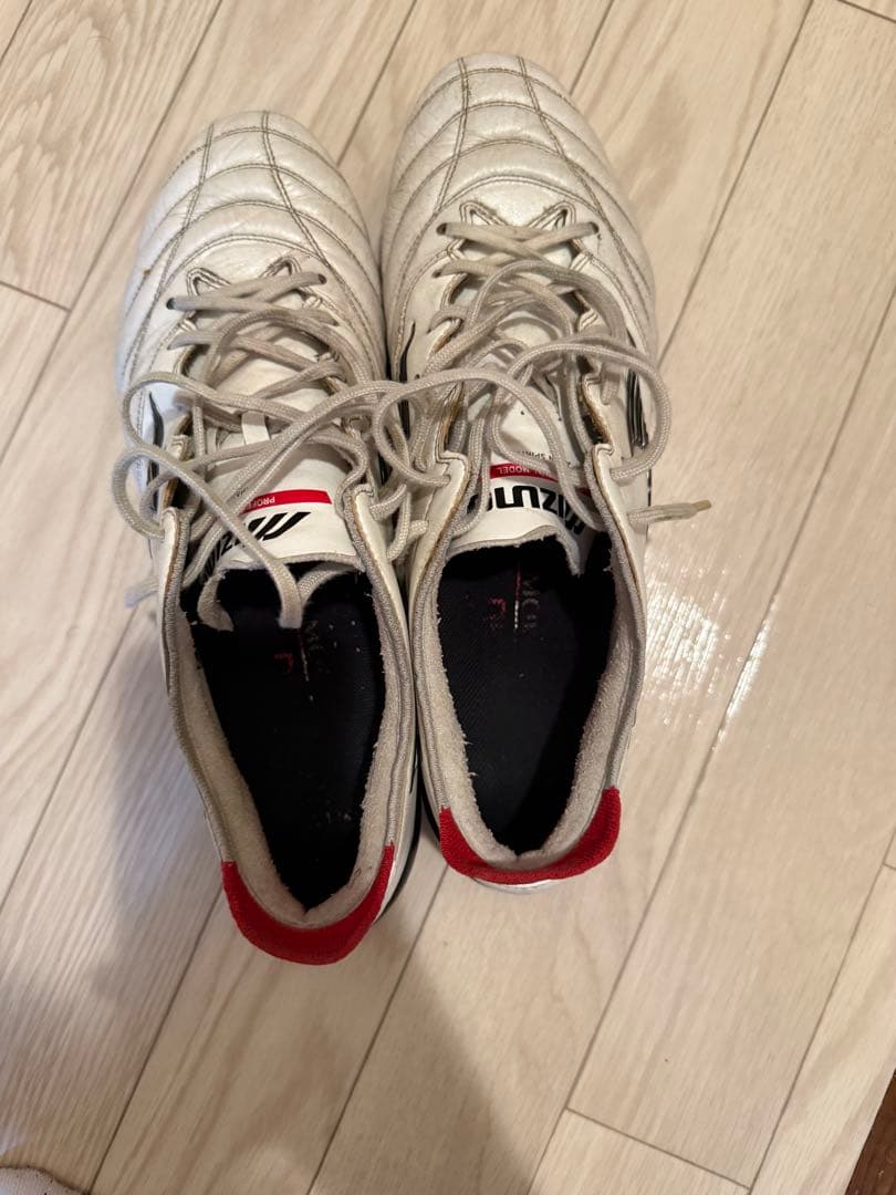 モレリアネオ3 SG