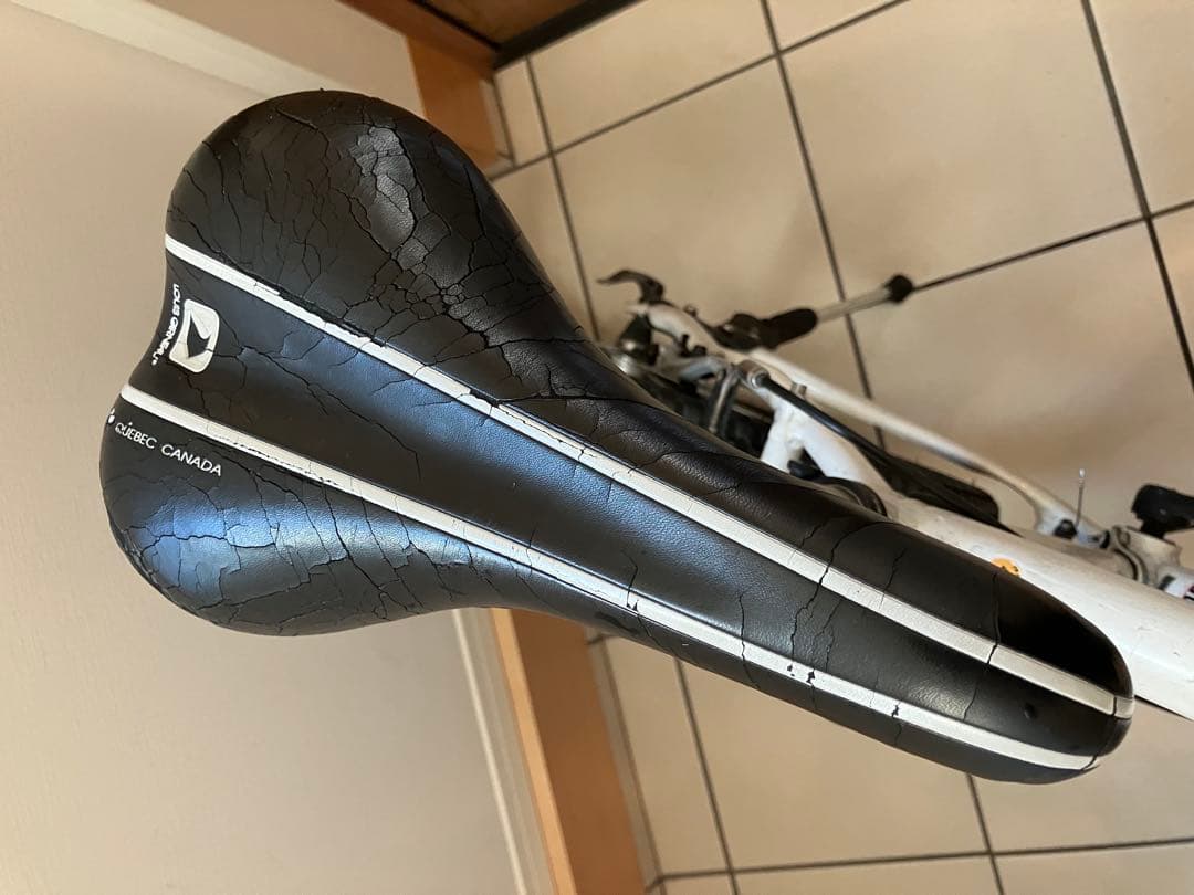 ルイガノLGS-FIVE 470サイズ　現地渡し　東京　武蔵境