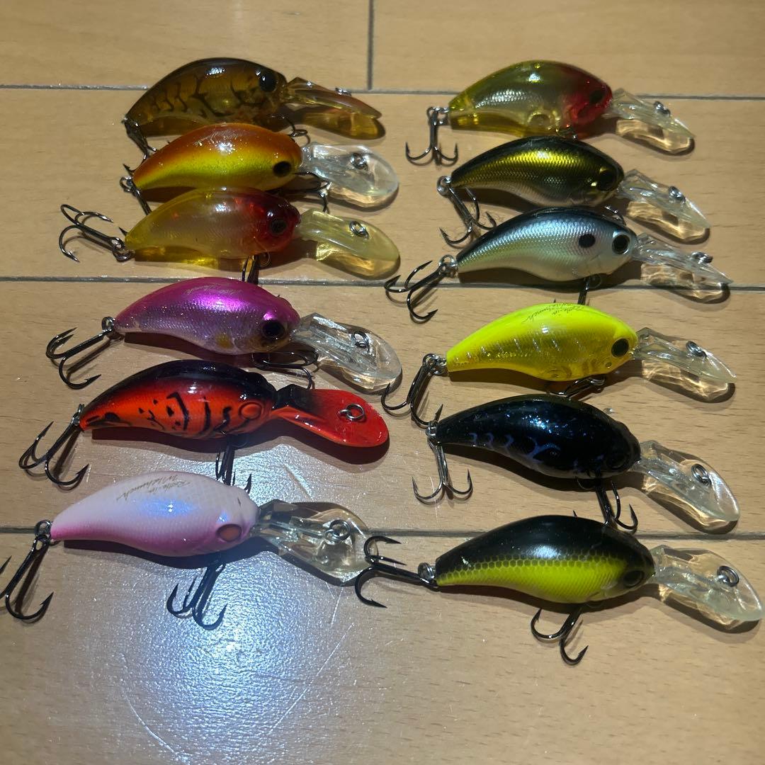 エバーグリーン　ワイルドハンチ　12個セット