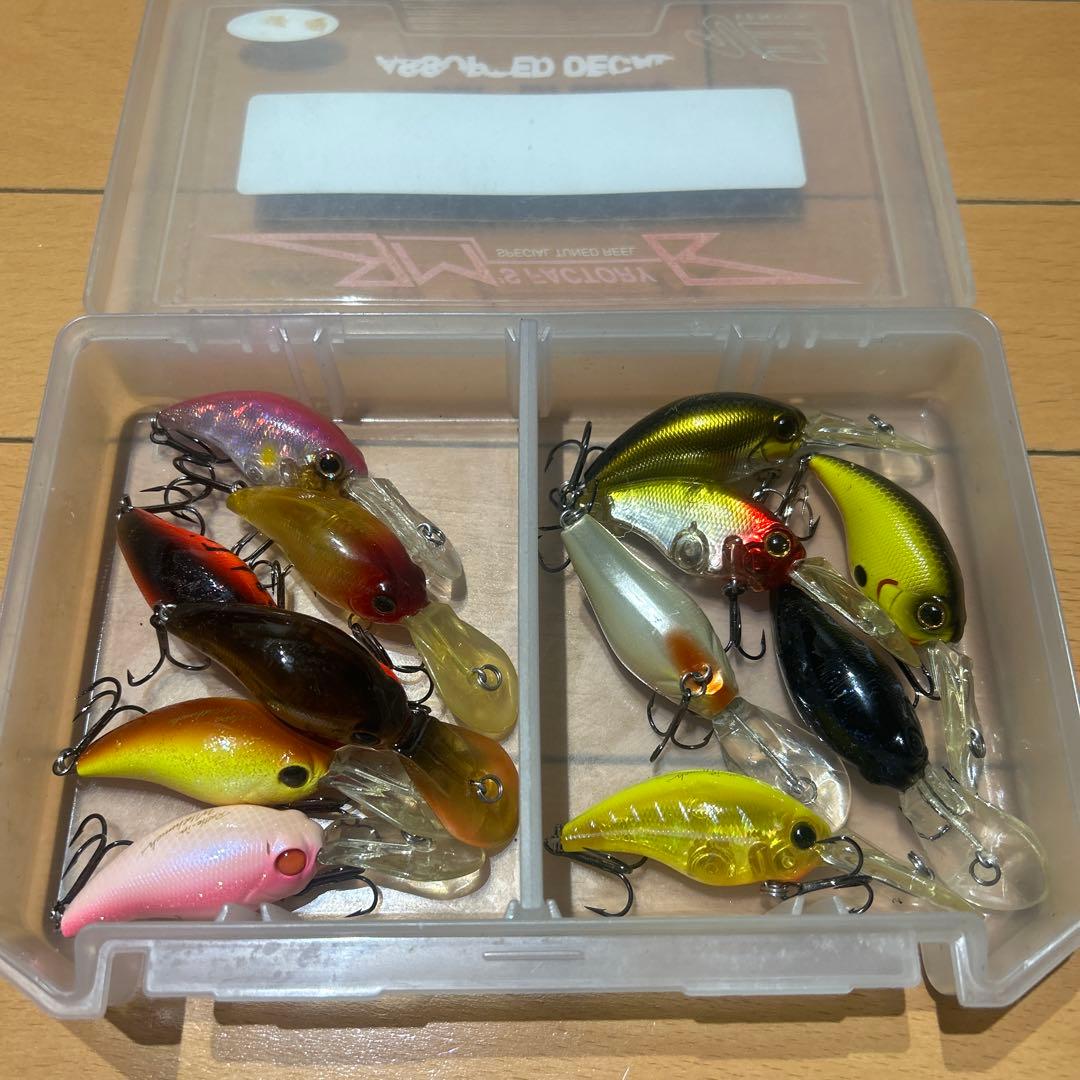 エバーグリーン　ワイルドハンチ　12個セット