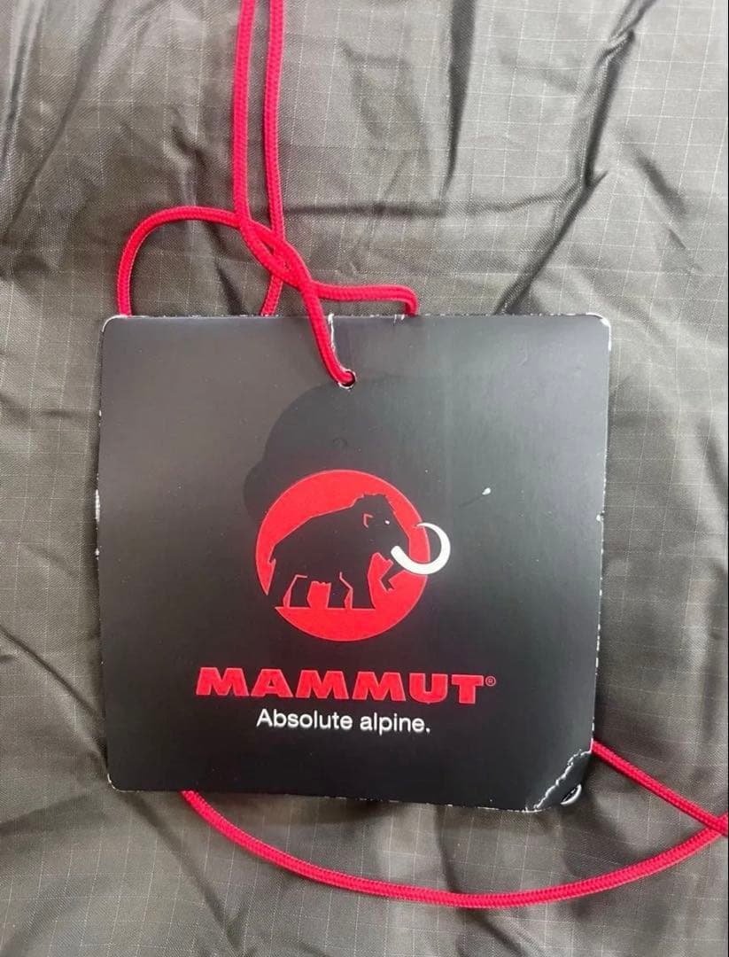 MAMMUT Tyin MTI Winter200L bisonシュラフ-18度