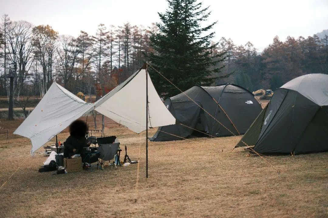 NEMO シャドウキャスター 165 (マーシュ)Lポール2本付き