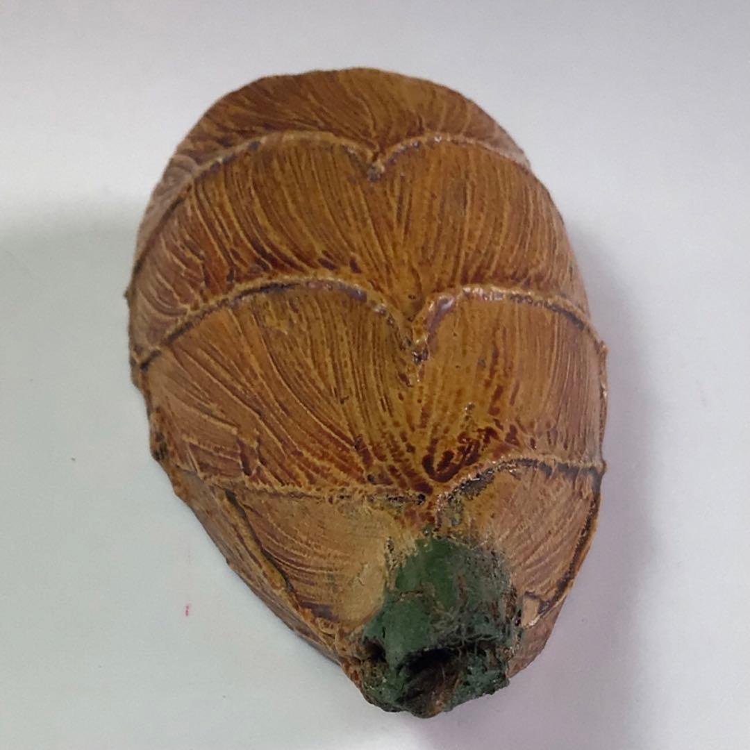 Ｒ６９１　香合　『中川正斉作』『乾漆』『筍香合』　共箱　茶道具　木工芸