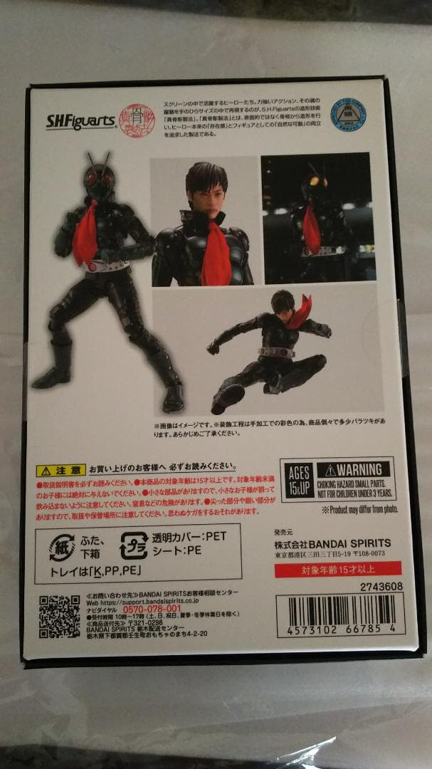 真骨彫 仮面ライダー the next