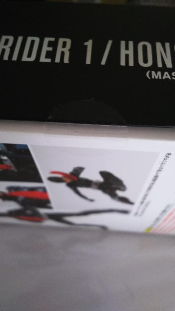 真骨彫 仮面ライダー the next