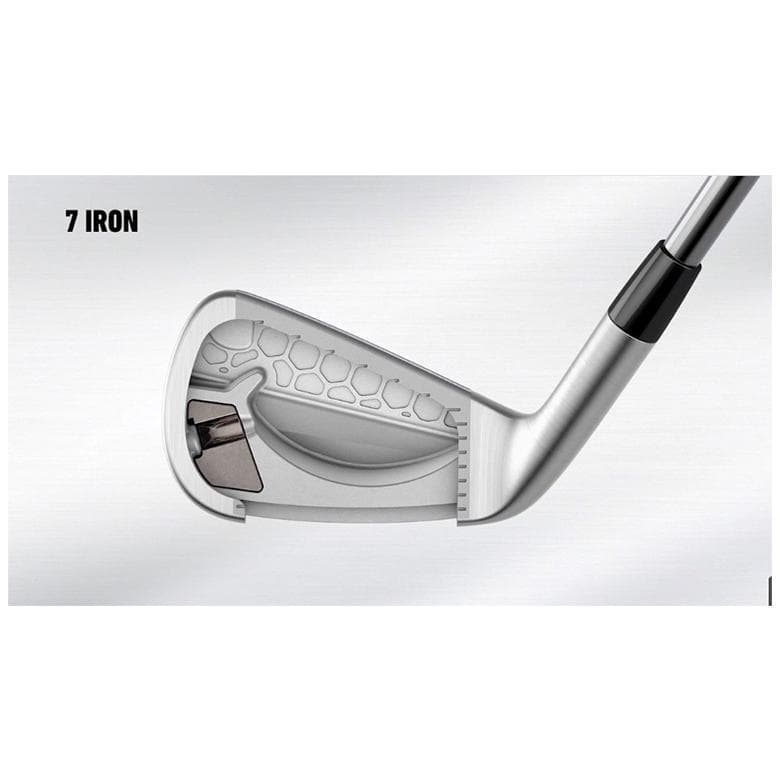 新品　テーラメイドP790 （23）5本セット　 Dynamic Gold EX