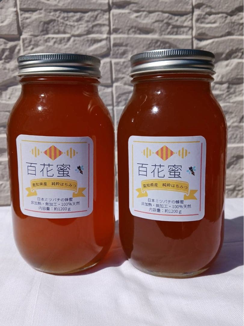 高知県産⭐︎蜂蜜⭐︎濃厚⭐︎日本ミツバチ⭐︎1200gを２本⭐︎はちみつ