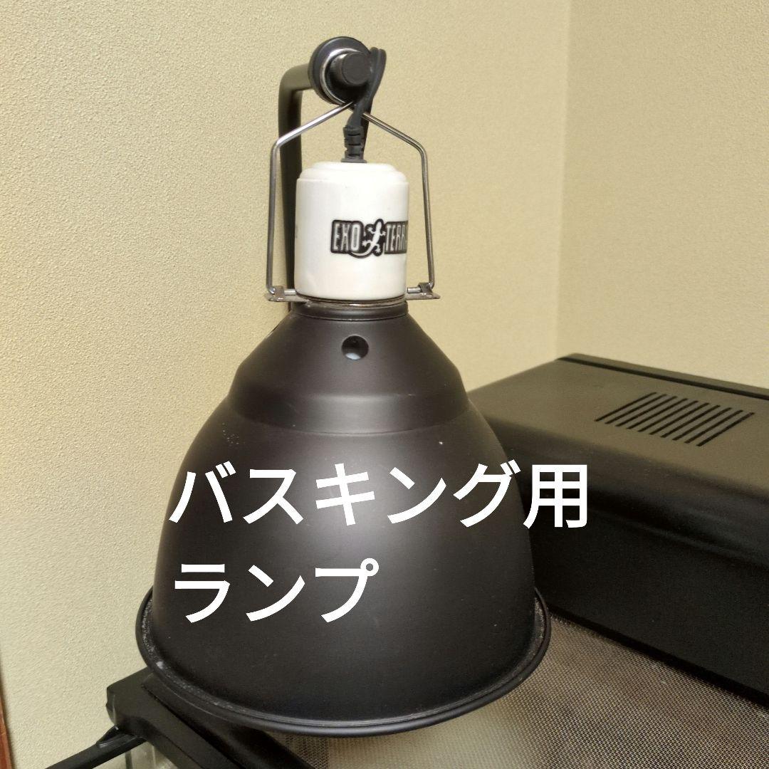 furuさま専用　ガラステラリウム 9045 備品一式つき