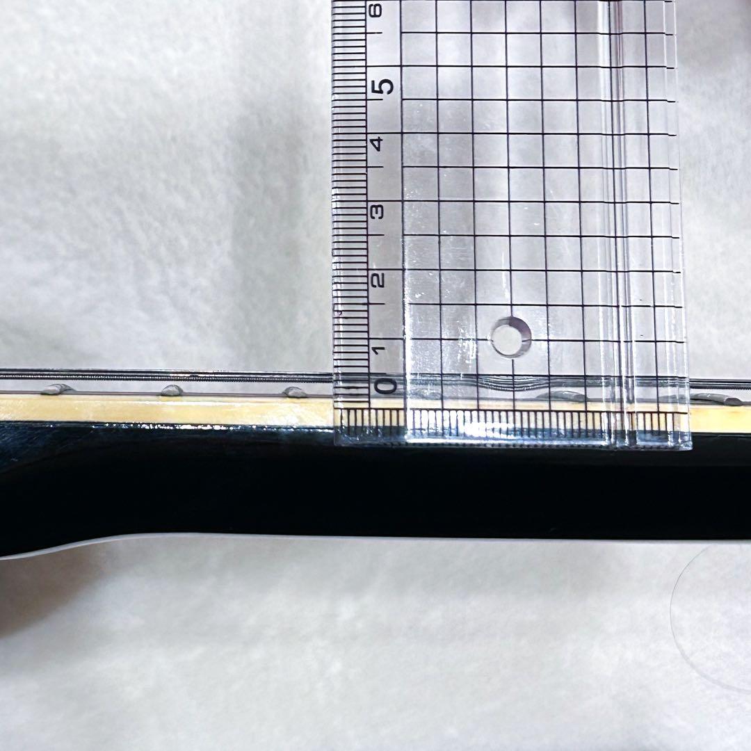 FERNANDES / TE-95HT 布袋モデル ソフトケース付き