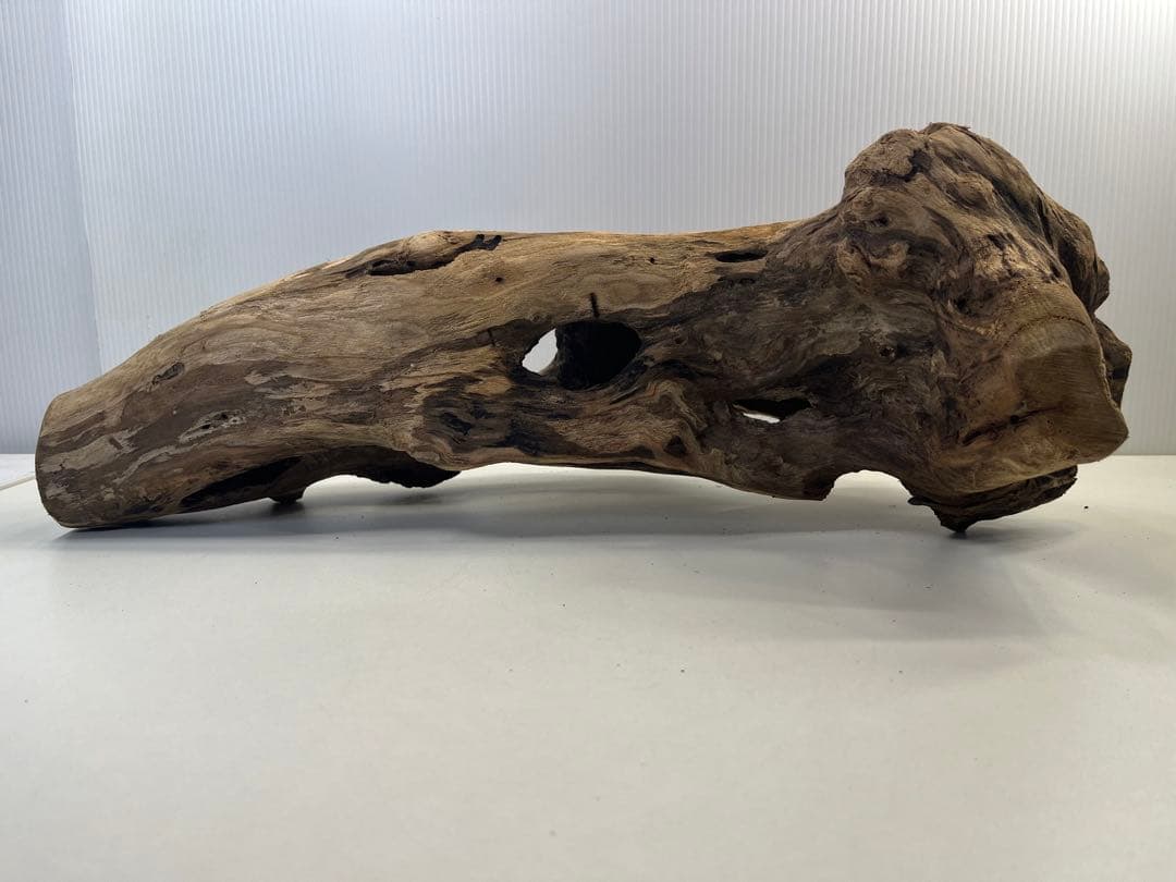 R63アク抜き済み流木 爬虫類シェルター 登り木 インテリア 生け花