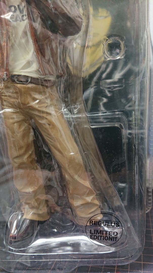 FBG 花木九里虎 レグルス版