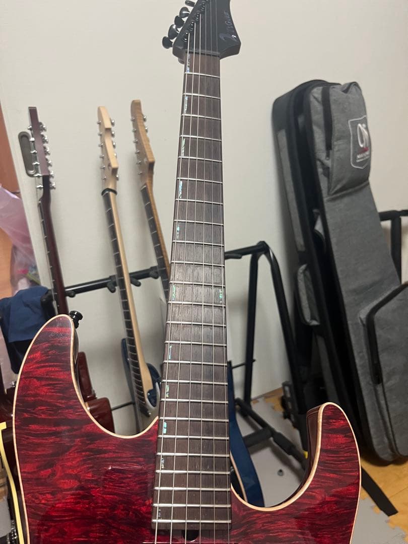 T’s guitars DST-Pro24,