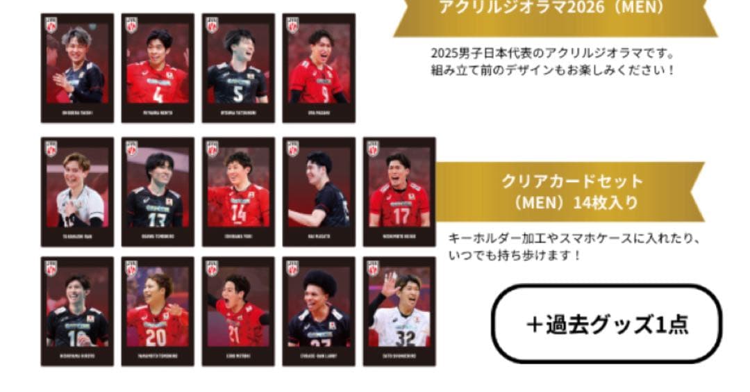【限定】JVA バレーボール男子日本代表　福袋2026