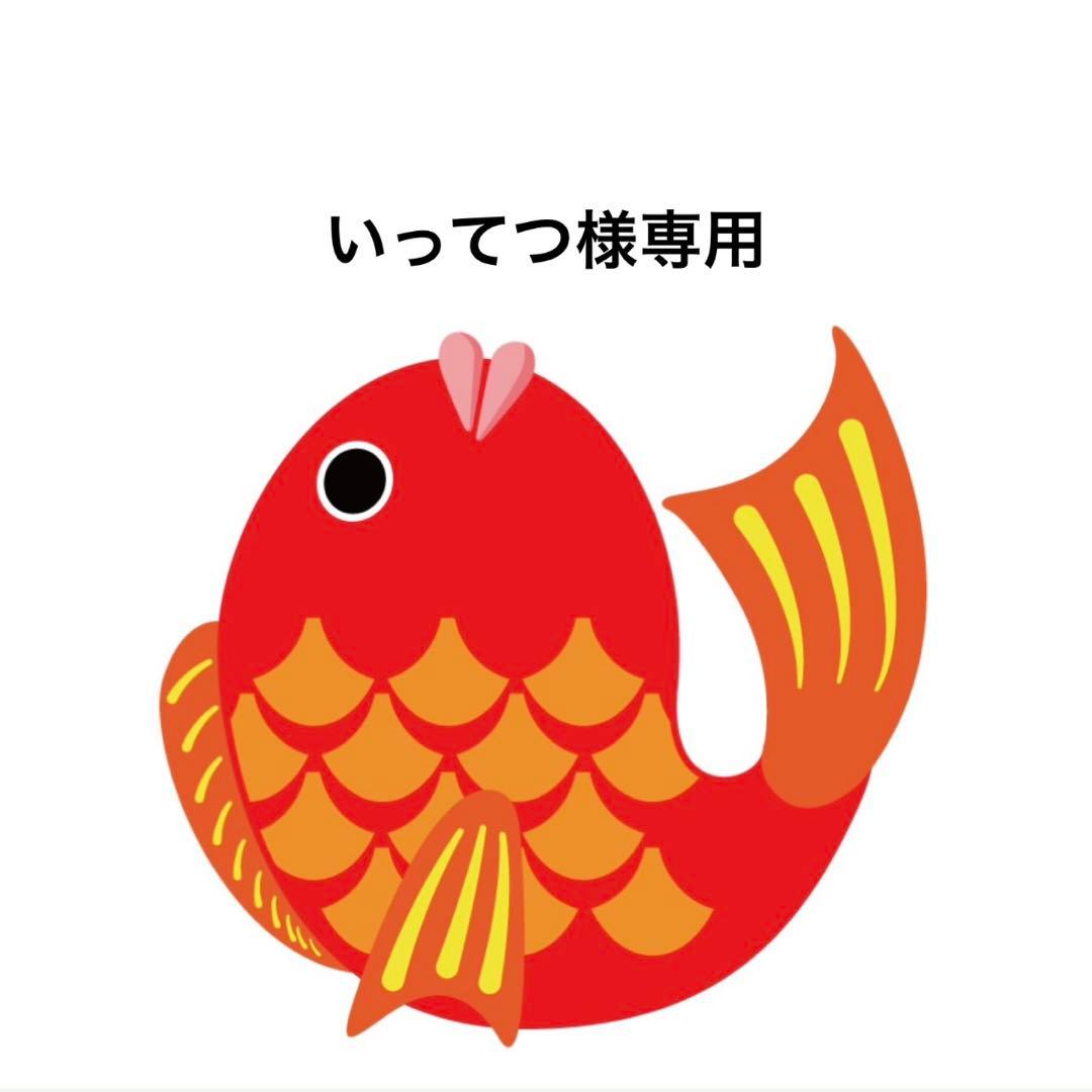 いってつ　タイラバ　タングステン　目あり無垢