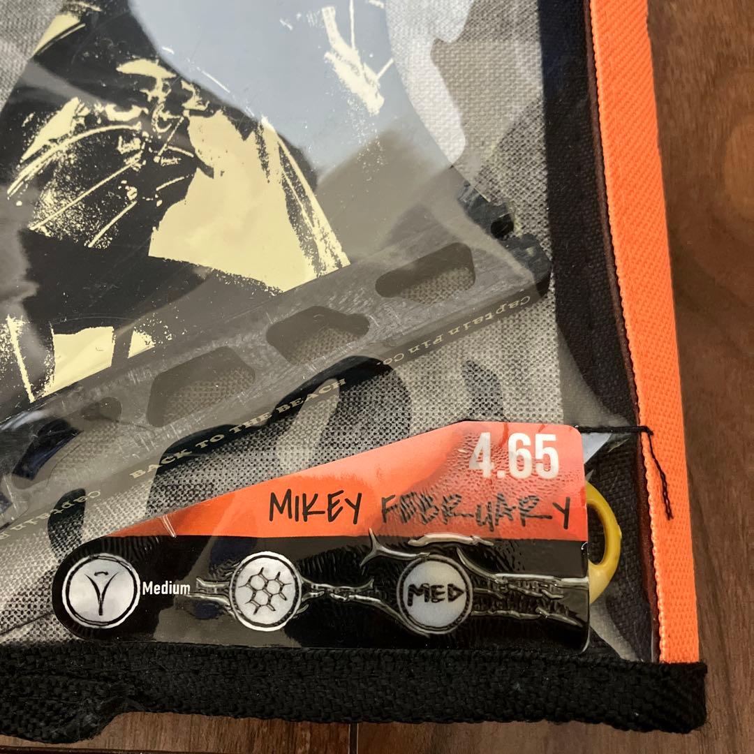 フューチャーフィン mikey february