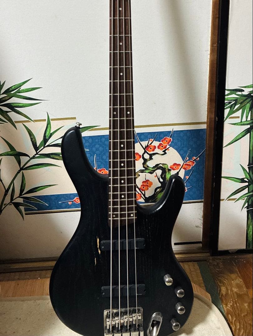 【希少】Ibanez EDB550 Black ソフトケース付き