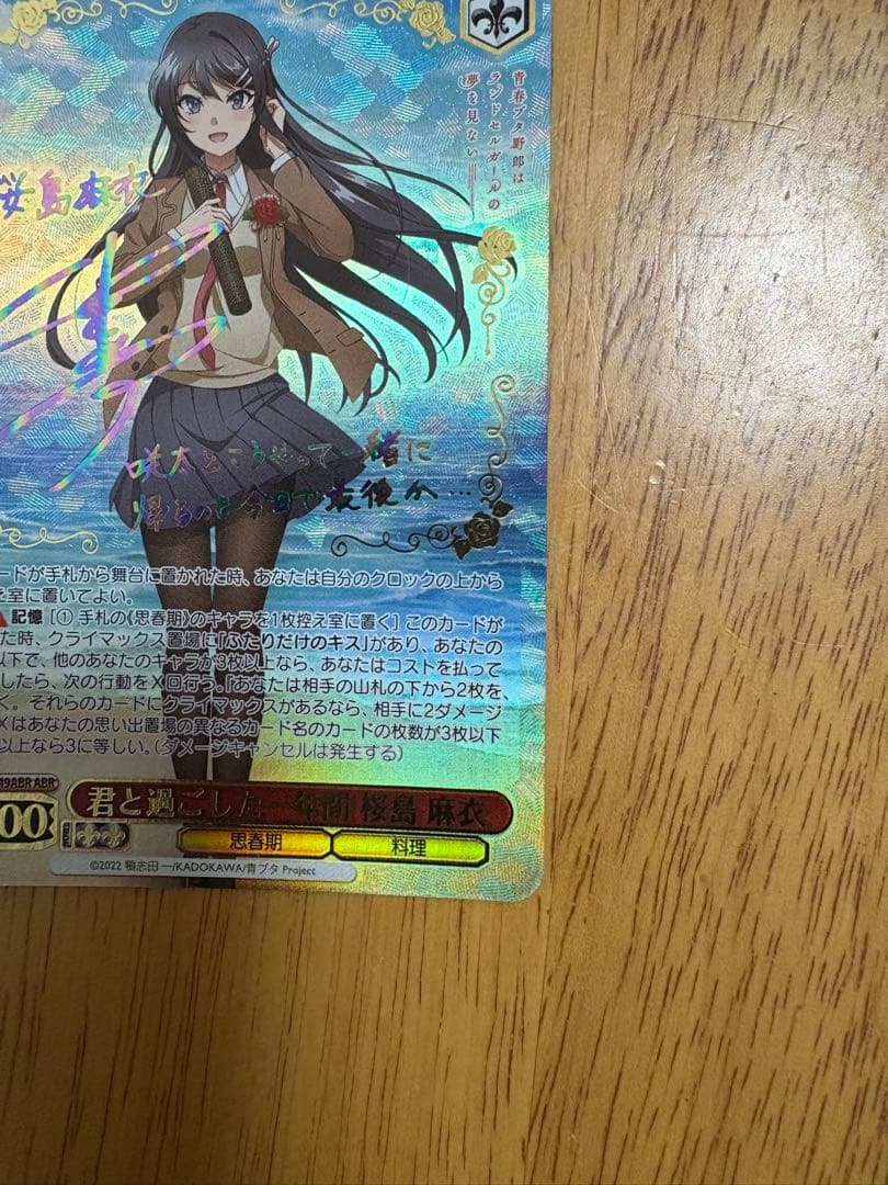 君と過ごした一年間 桜島麻衣ABR