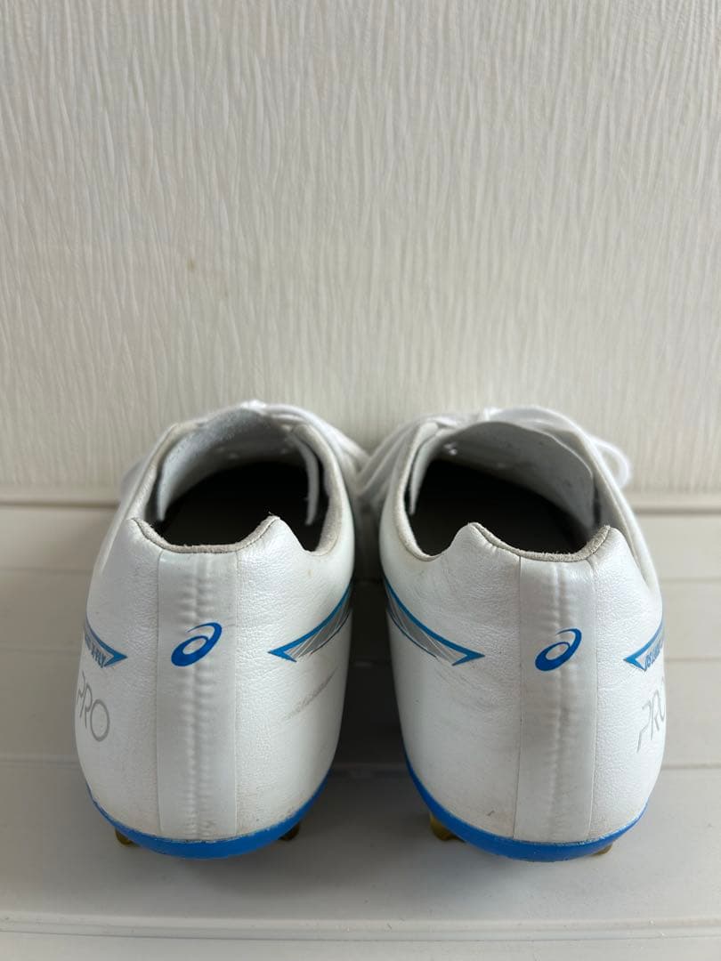 【ASICS DS LIGHT X-FLY PRO 3】 28.0cm