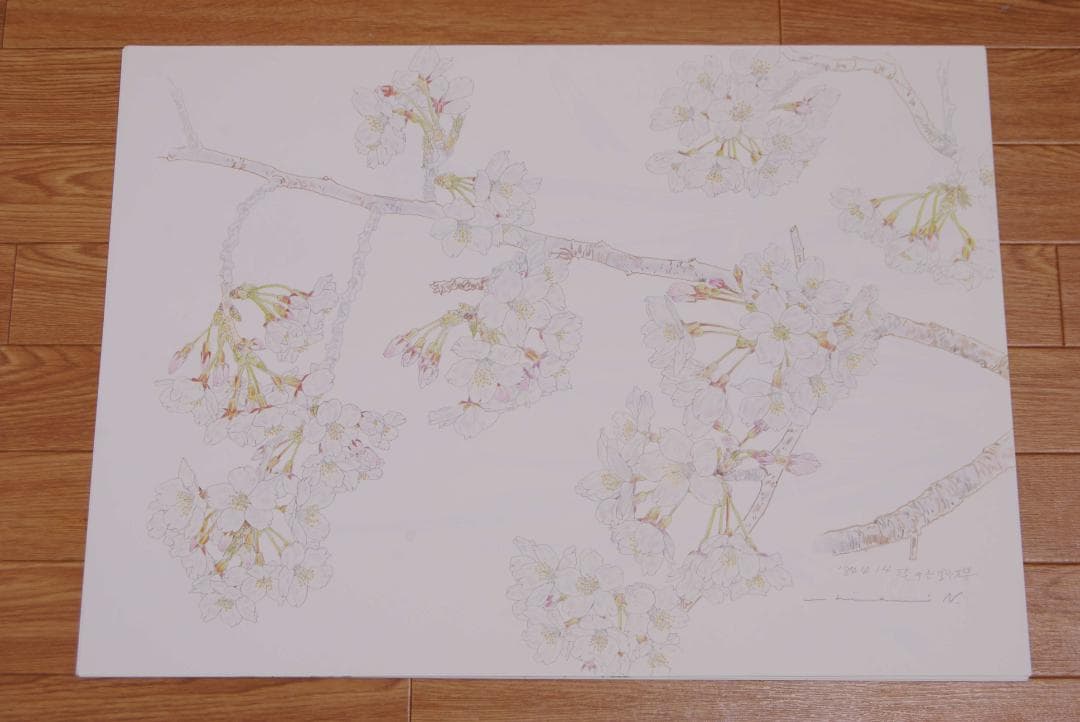 中島千波　花の写生１２葉　絵画　 12枚セット　求龍堂