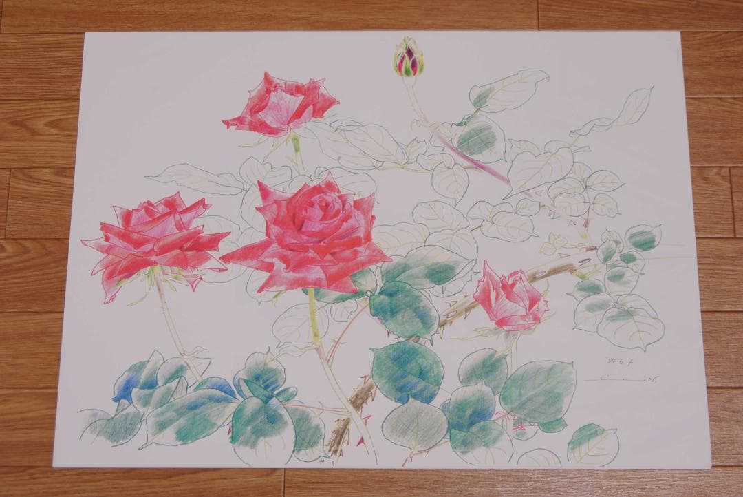 中島千波　花の写生１２葉　絵画　 12枚セット　求龍堂