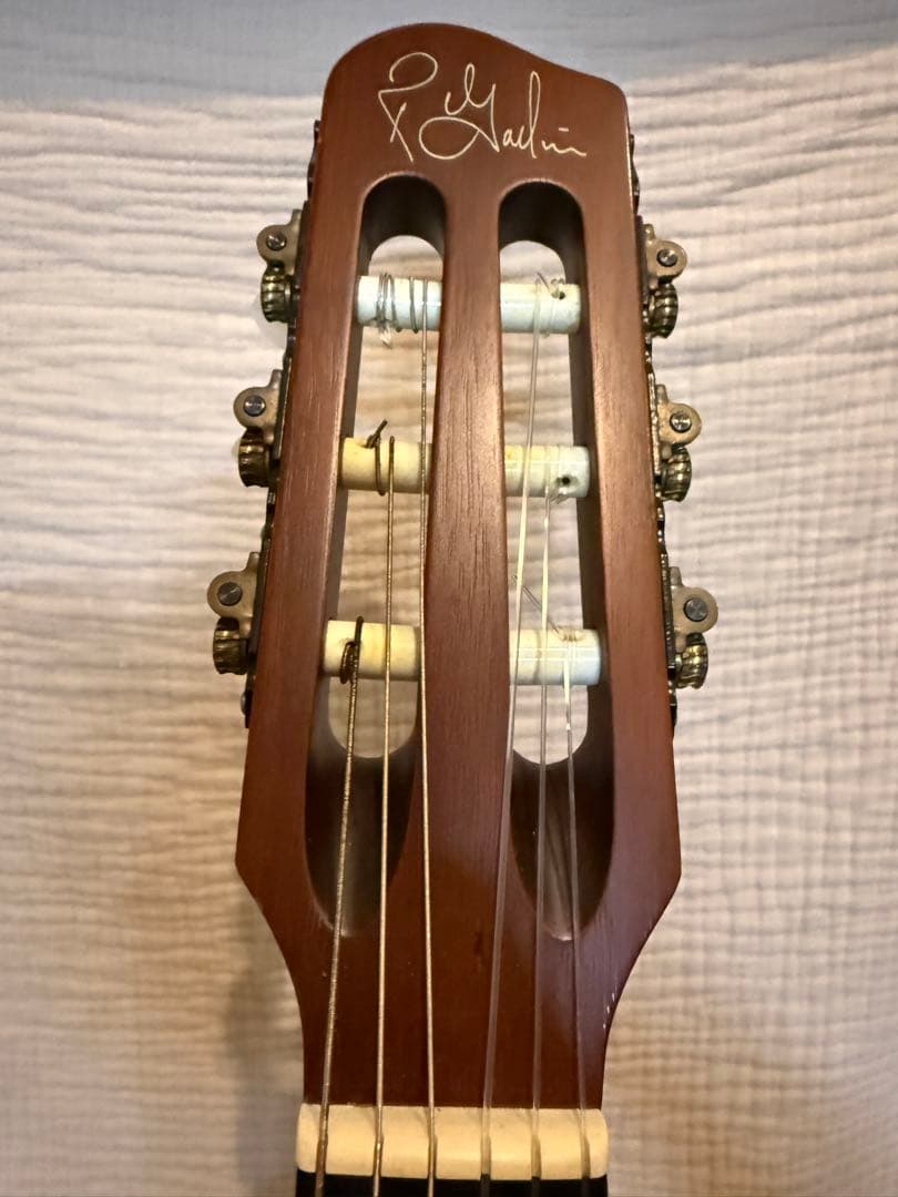 ギター Godin ACS Slim 10th Anniversary 100/100