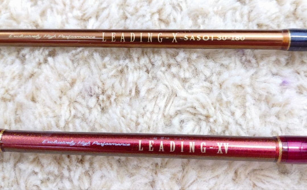 【Daiwa】LEADING 2本