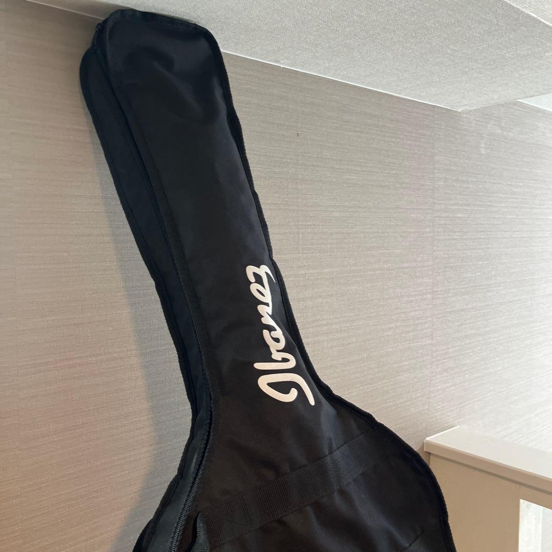 【値下げしました】Ibanez AE205 エレアコ