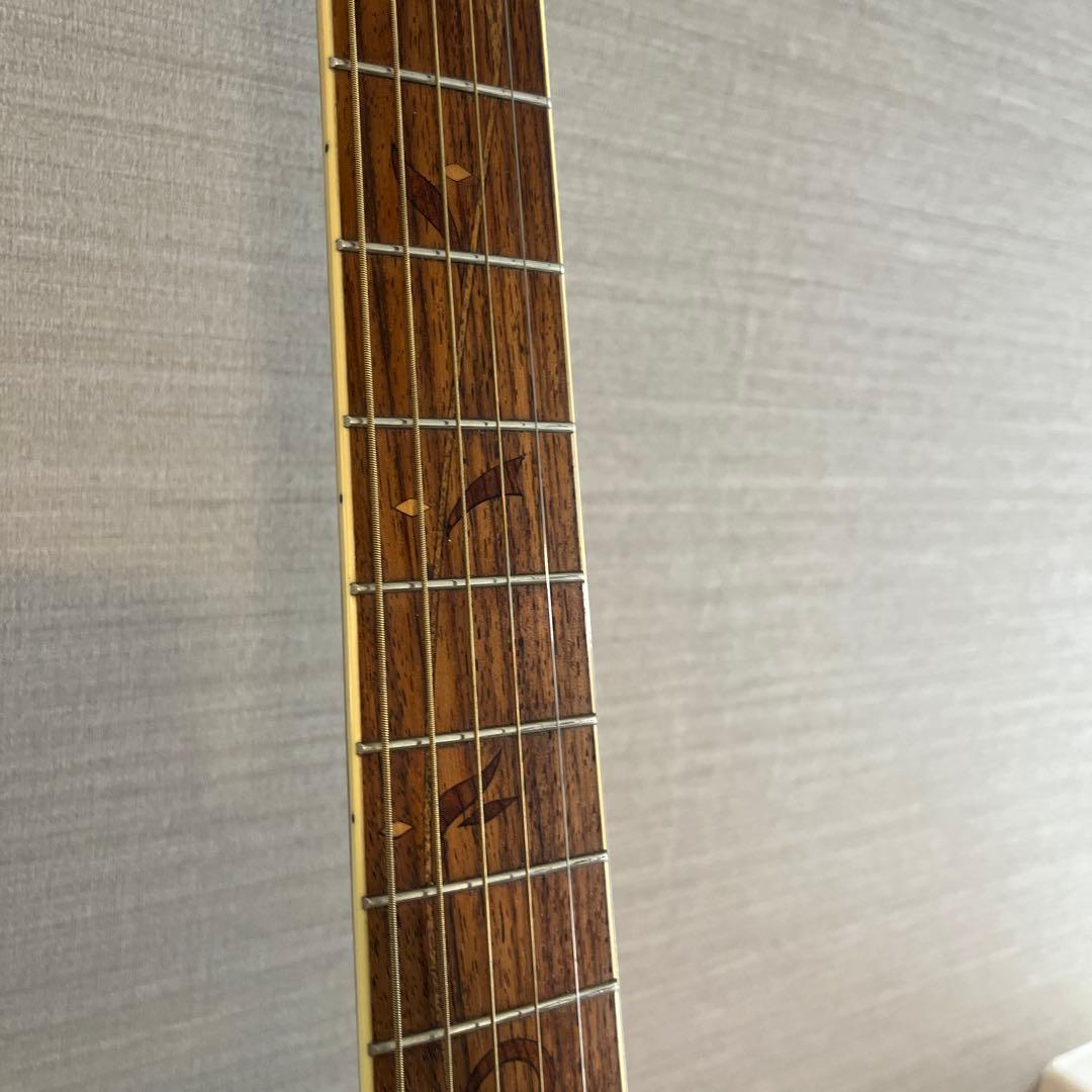 【値下げしました】Ibanez AE205 エレアコ