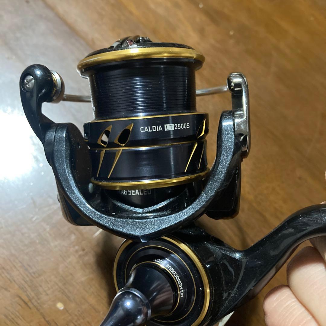 21CALDIA LT2500S スピニングリール　ダイワ　カルディア