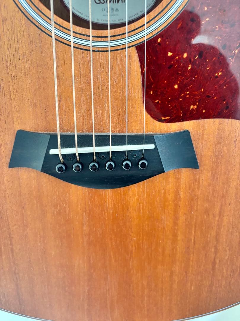 Taylor gs mini エレアコ