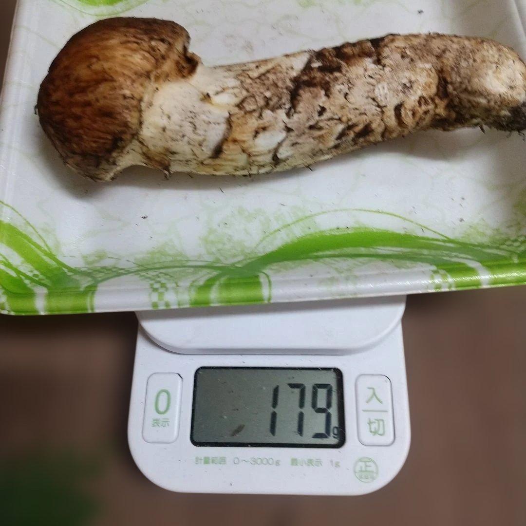 岩手県産 松茸 1-1