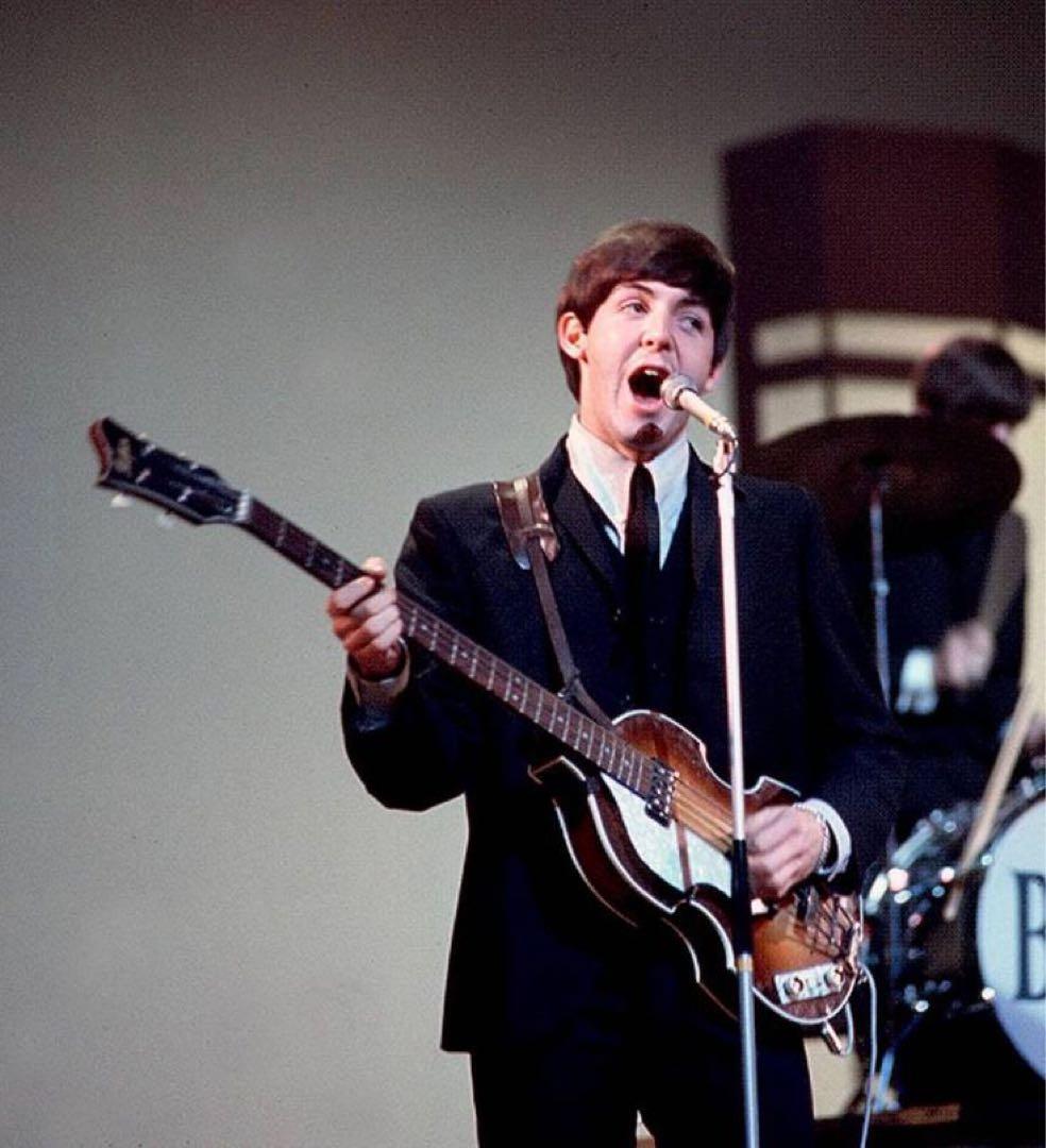 GRECO★VB-500 バイオリンベース 日本製 グレコ　ポールマッカートニー