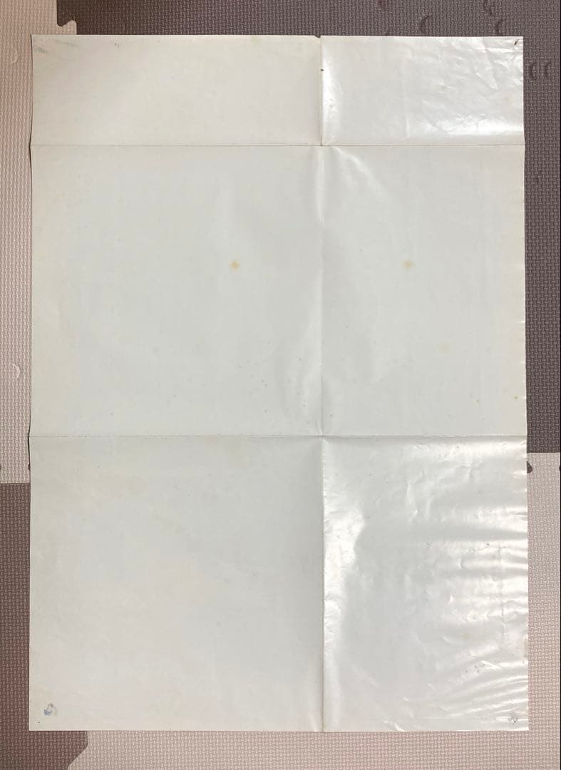 TheUltimatePUNKROCKER by S.I.D.シリアルナンバー入