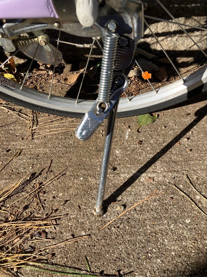 東京都 ブリヂストン 22インチ エコパル ラベンダー