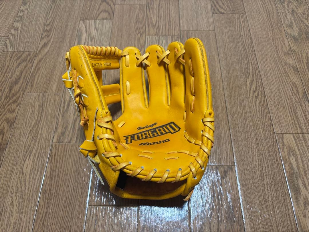 非売品 グローブ 高橋由伸 ジャイアンツ 手型・直筆サイン入り FORGAD