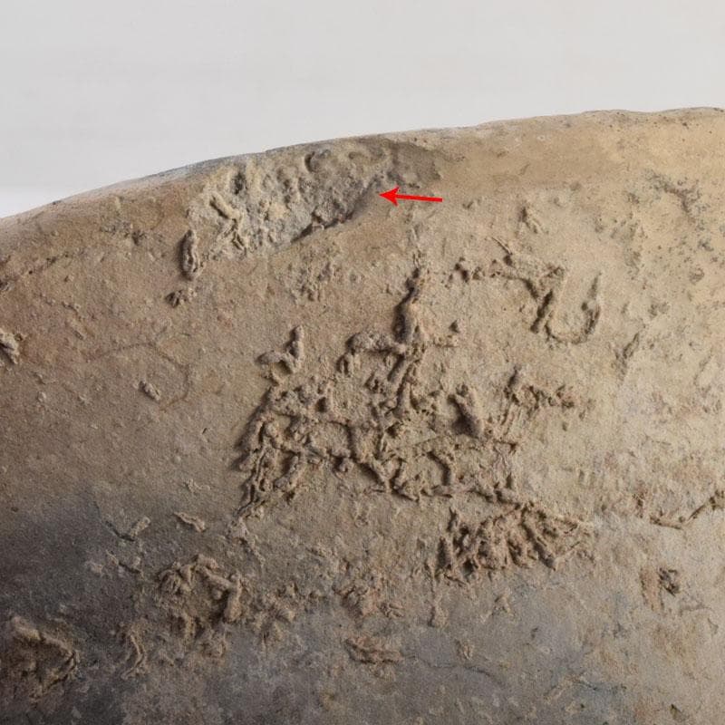 弥生式土器　広口土器　丸底壺　C　8308