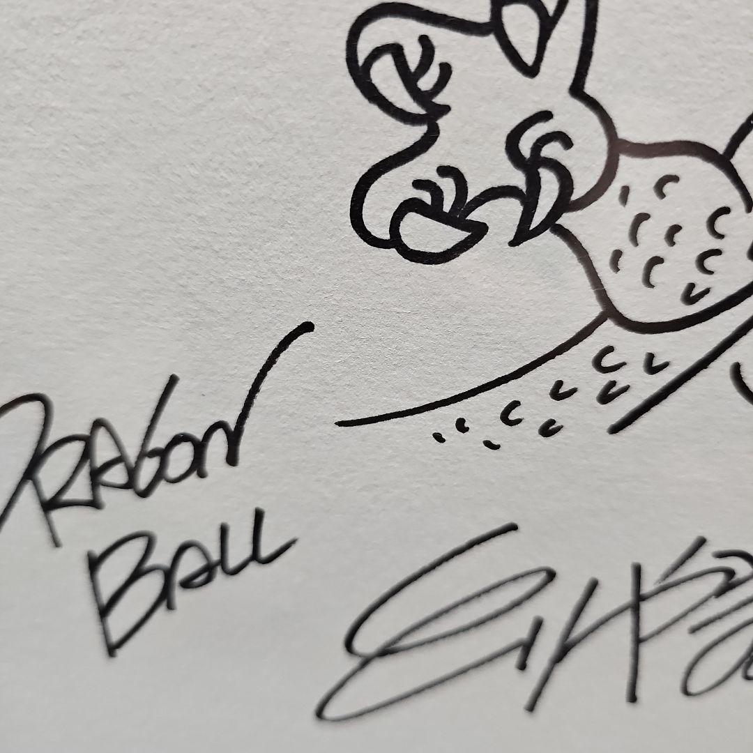 ドラゴンボール 神龍イラスト 直筆サイン色紙