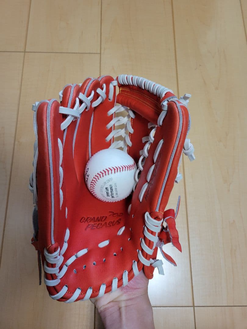 と*ご様 ワールドペガサス 硬式用 グローブ