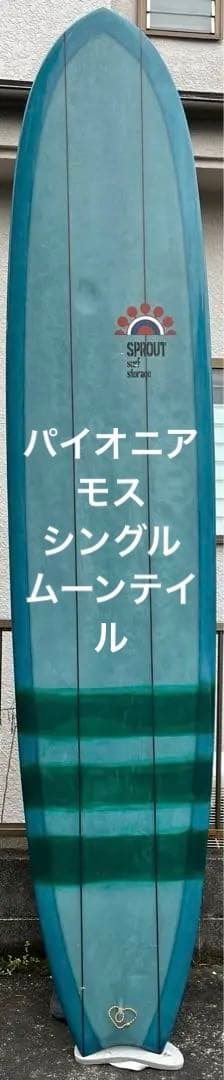 パイオニアモス【Pioneermoss moon type lI 9.06】