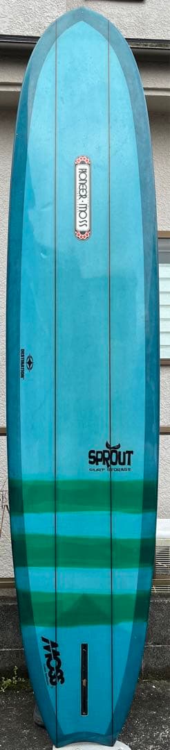 パイオニアモス【Pioneermoss moon type lI 9.06】