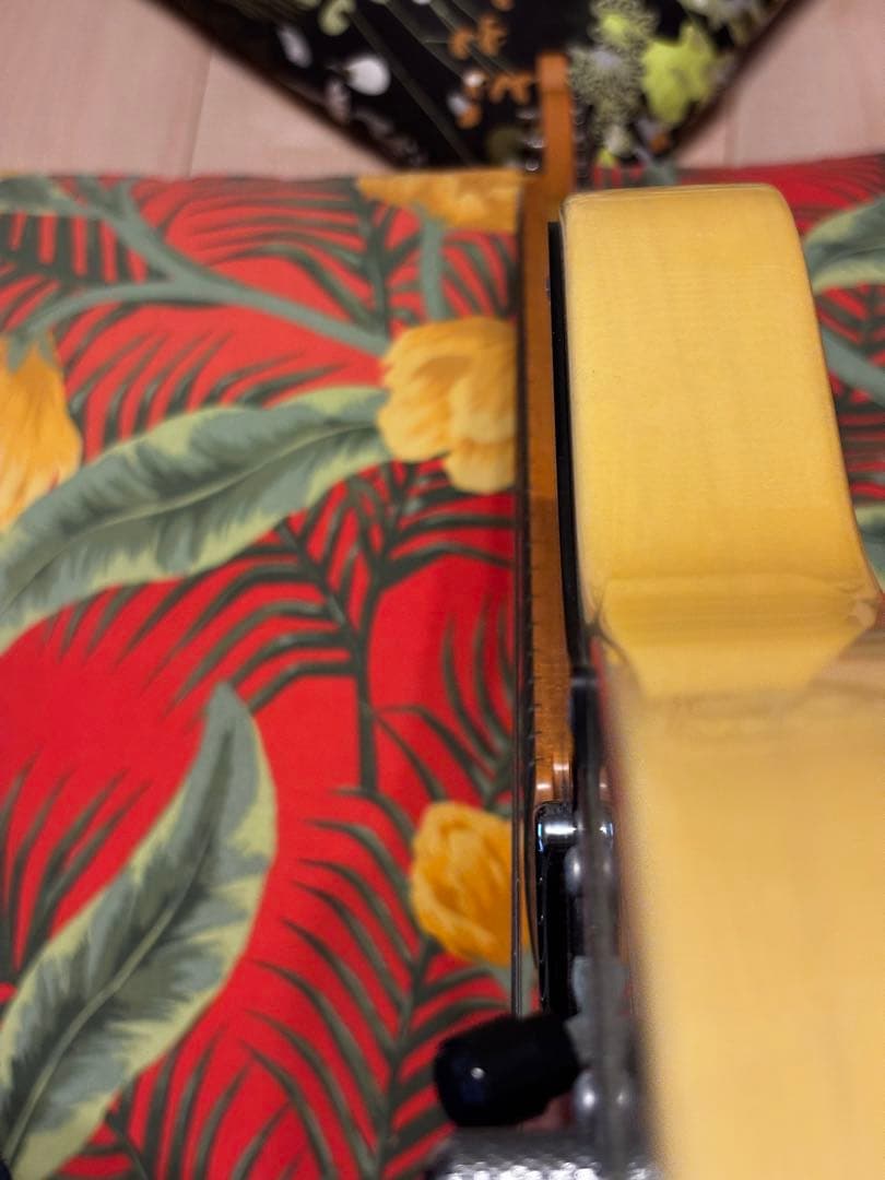 ギター momose MTL2-STD/M BBD