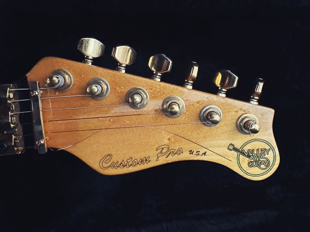 【クレヨン7色】Valley Arts Custom Pro USA