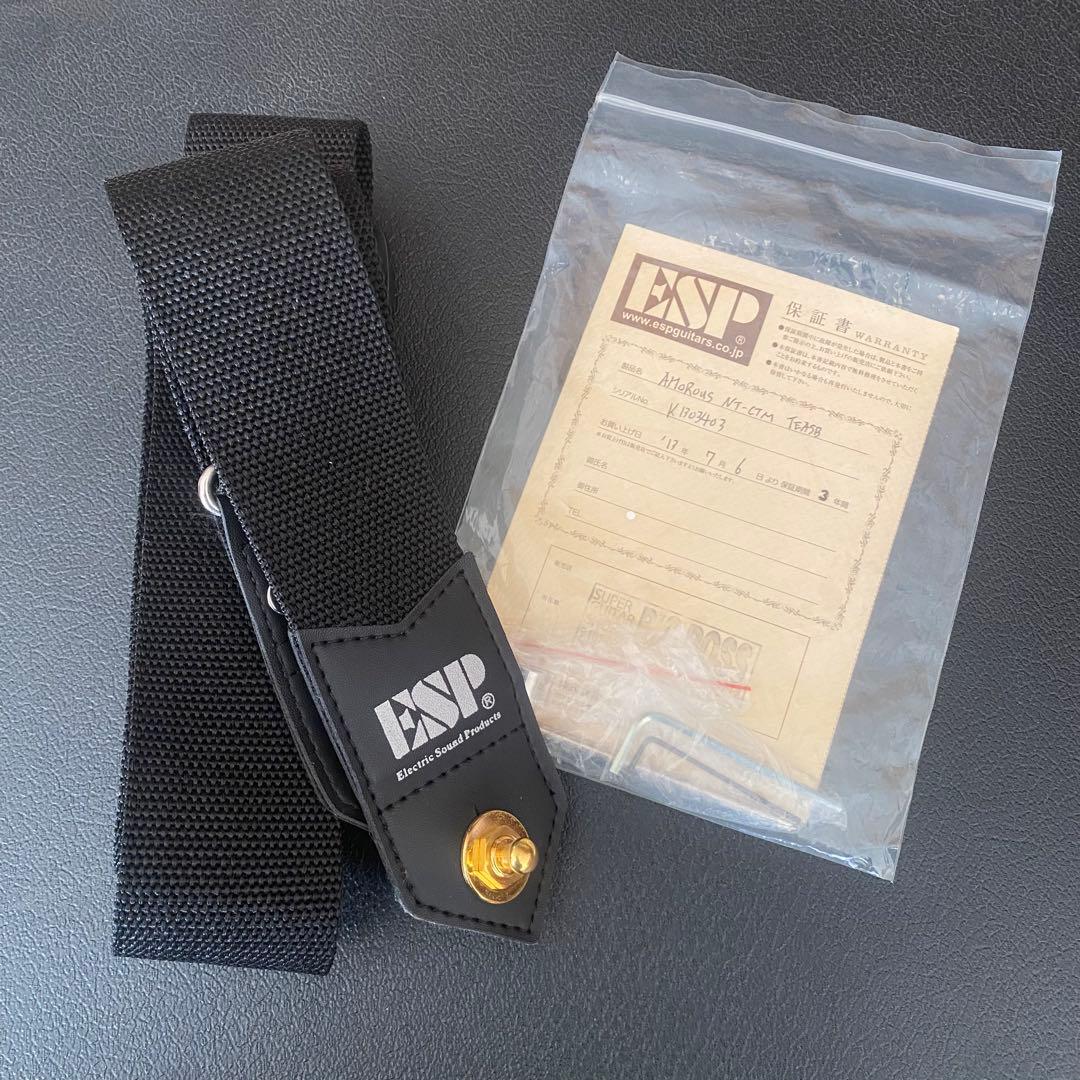 ESP Amorous NT CTM イーエスピー ギター mystique