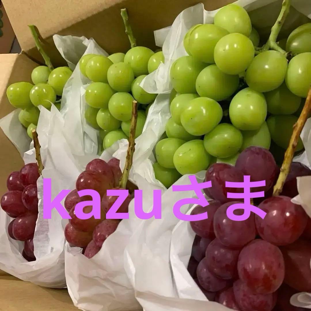 信州　大粒シャインマスカット （3キロ以上）