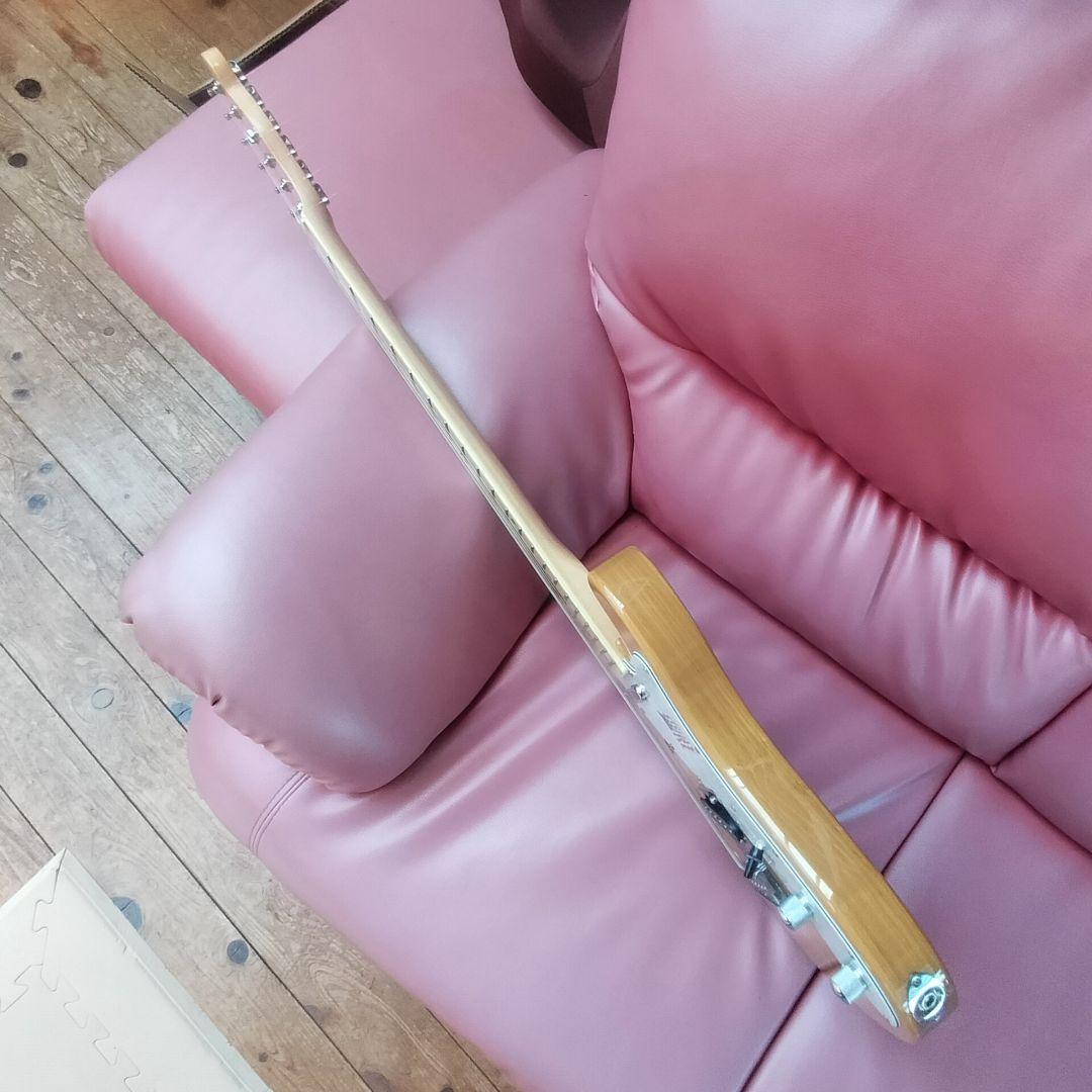 SX （Fender Telecaster Thinline Type）