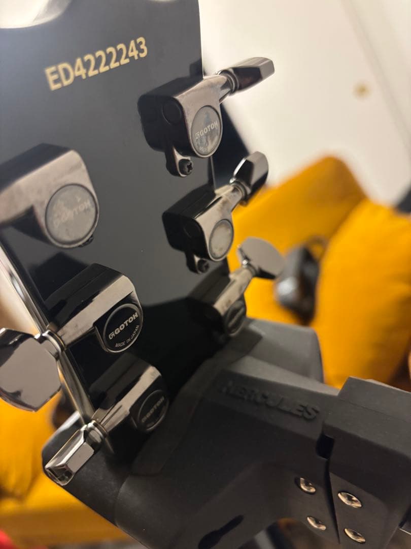 ガゼット　麗モデル　エドワーズ