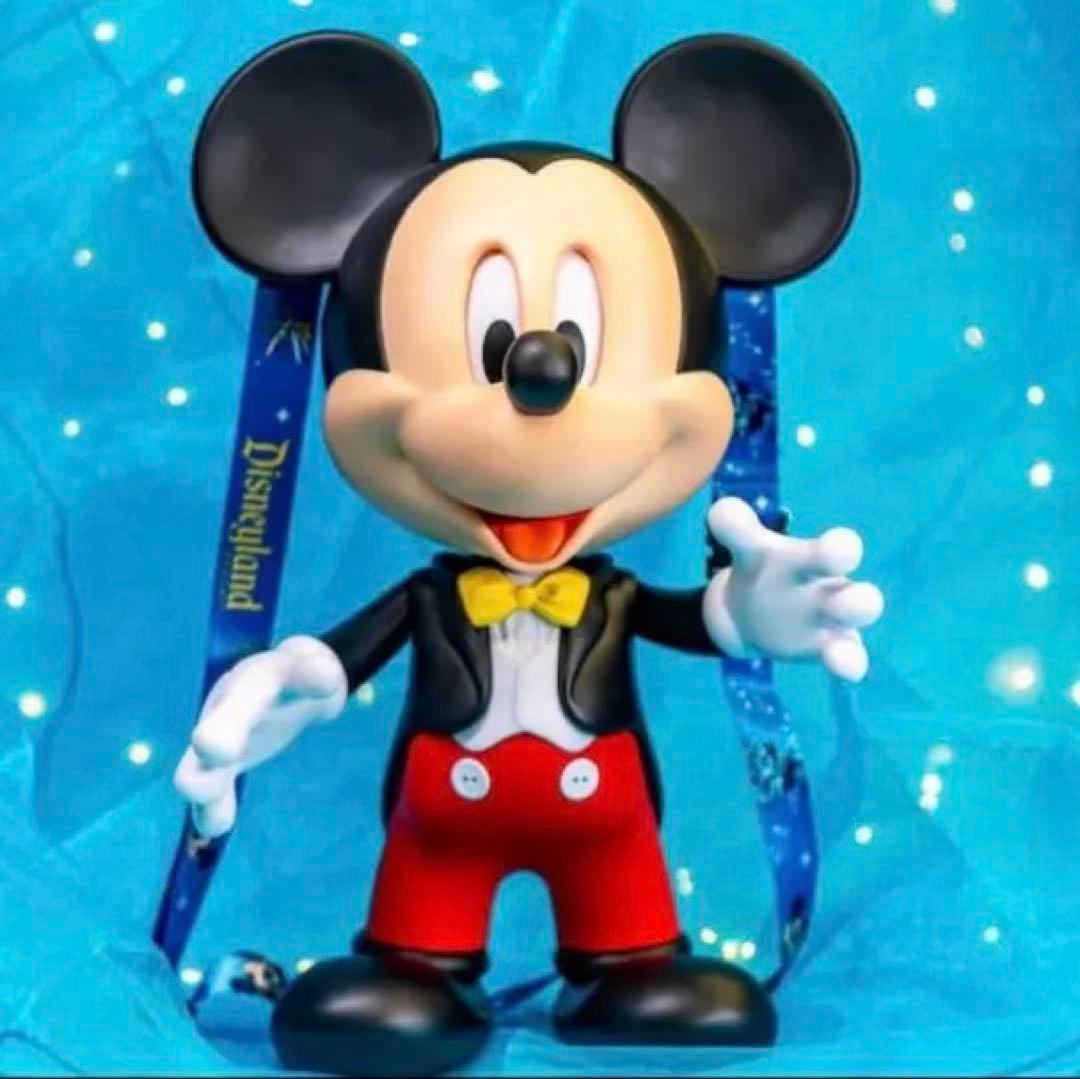 【新品未使用】 カリフォルニア　ディズニー　ポップコーンバケット　70周年限定