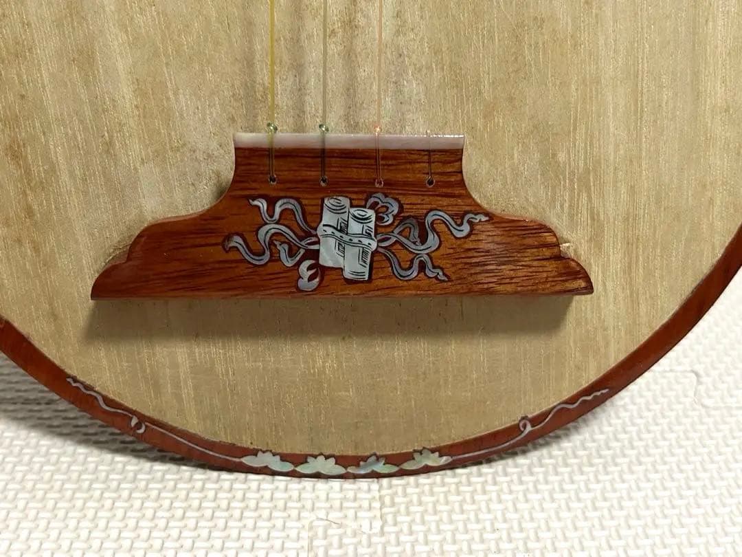 s*m様 ダンティバ　ベトナム楽器　琵琶