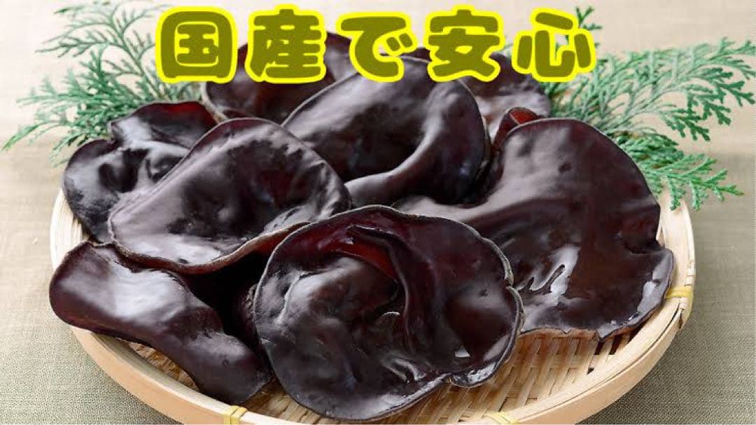 乾燥きくらげ 10kg