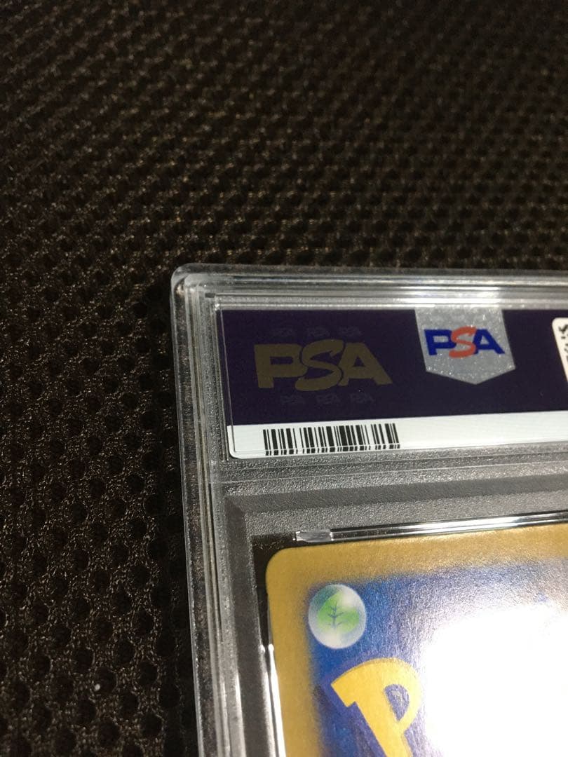 ぽちゃこ ポケモンカード PSA10 シロナのガブリアスｅｘ SV9a